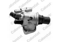 Thermostat, coolant