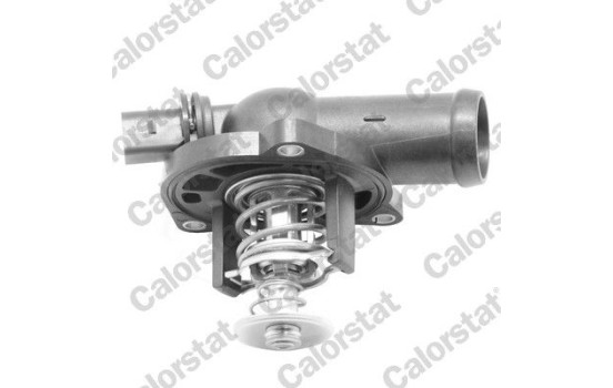 Thermostat, coolant