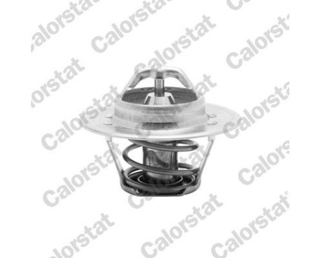 Thermostat, coolant