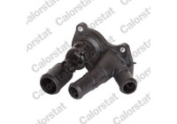 Thermostat, coolant