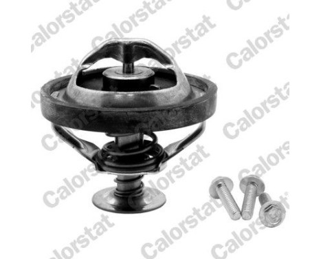 Thermostat, coolant