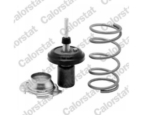 Thermostat, coolant