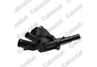 Thermostat, coolant