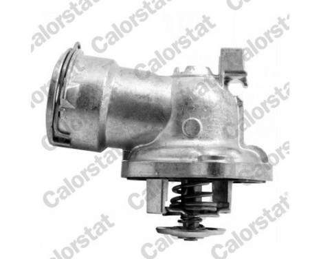 Thermostat, coolant