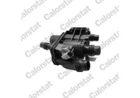 Thermostat, coolant