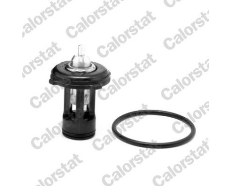 Thermostat, coolant