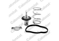 Thermostat, coolant