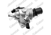 Thermostat, coolant