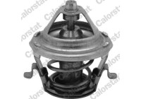 Thermostat, coolant
