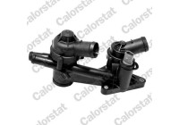 Thermostat, coolant