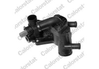 Thermostat, coolant