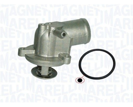 Thermostat, coolant