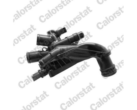 Thermostat, coolant