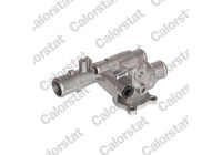 Thermostat, coolant