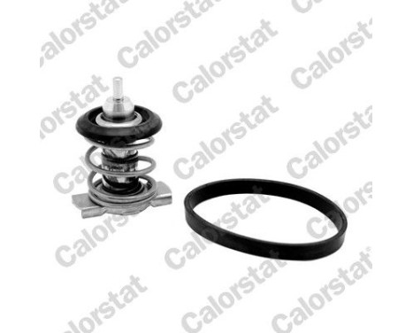 Thermostat, coolant