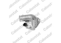 Thermostat, coolant