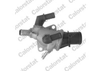 Thermostat, coolant