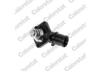 Thermostat, coolant