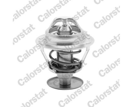 Thermostat, coolant