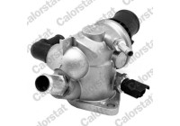Thermostat, coolant