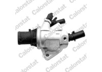 Thermostat, coolant
