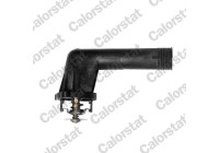 Thermostat, coolant