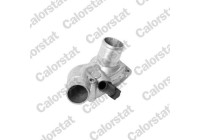 Thermostat, coolant