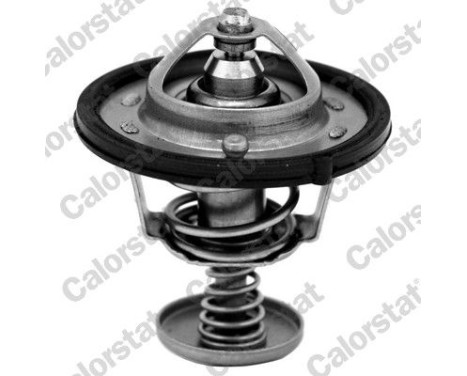 Thermostat, coolant