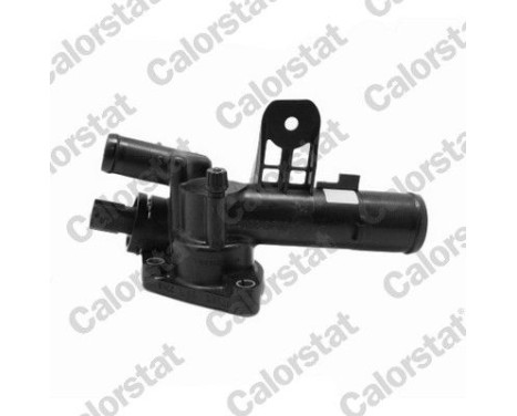 Thermostat, coolant
