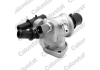 Thermostat, coolant