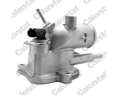 Thermostat, coolant