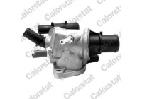 Thermostat, coolant