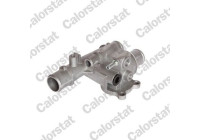 Thermostat, coolant