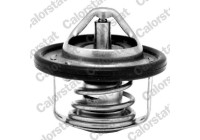 Thermostat, coolant