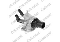 Thermostat, coolant
