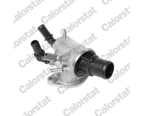 Thermostat, coolant