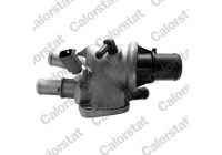 Thermostat, coolant