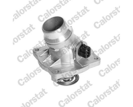 Thermostat, coolant