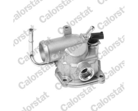 Thermostat, coolant