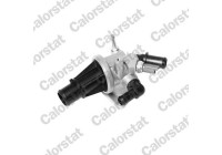 Thermostat, coolant