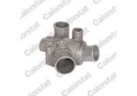 Thermostat, coolant