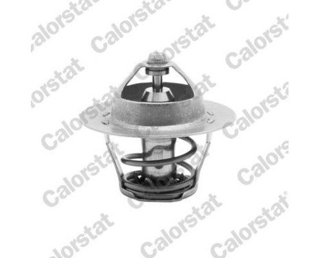 Thermostat, coolant