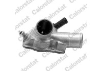 Thermostat, coolant