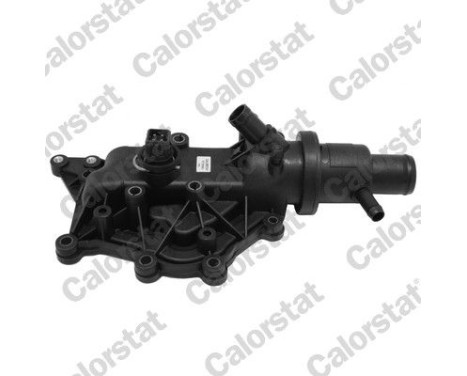 Thermostat, coolant