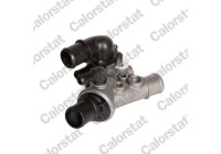 Thermostat, coolant
