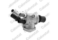 Thermostat, coolant