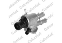 Thermostat, coolant
