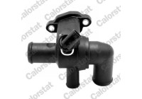Thermostat, coolant