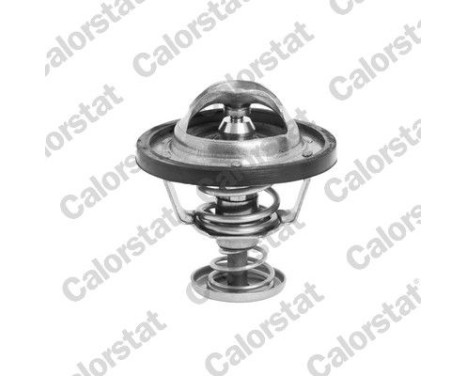 Thermostat, coolant