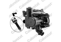 Thermostat, coolant